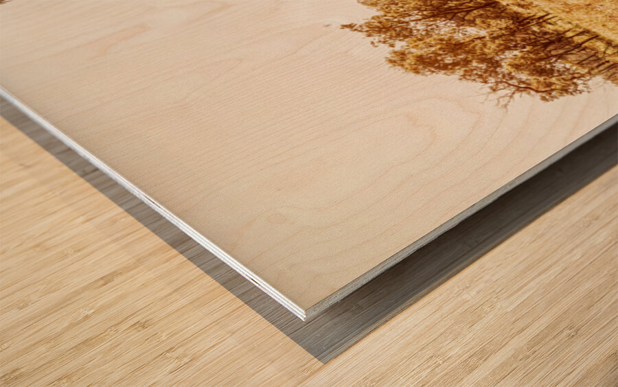 Sun Dipped Wood print