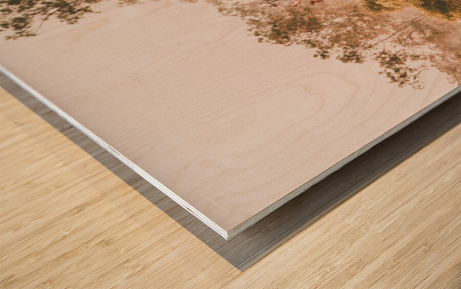 Farming Tradition Wood print