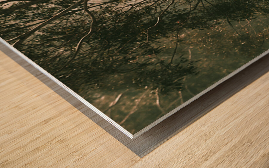 Woodland Dramatics Wood print