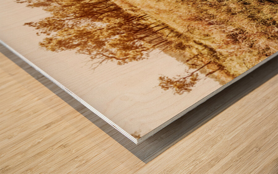 Summer Escape Wood print