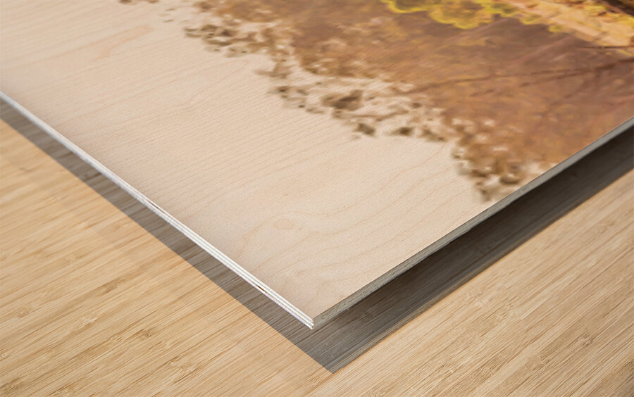 And Summer Dreaming. Wood print