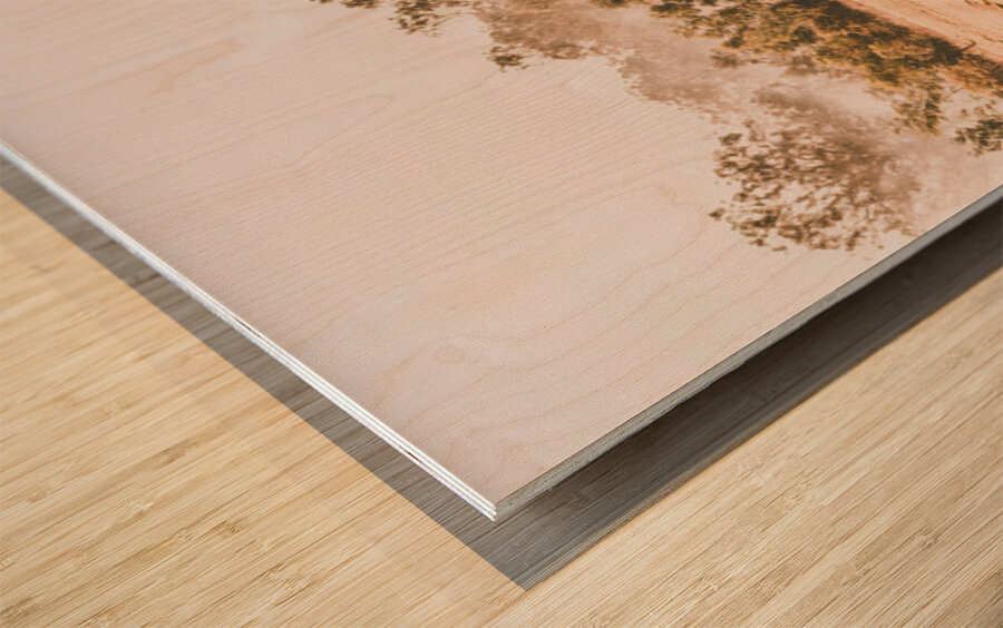 Picturesque Prairie Wood print