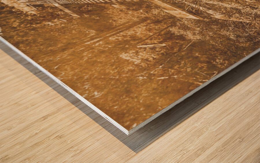 Ideraway Rail Crossing Wood print