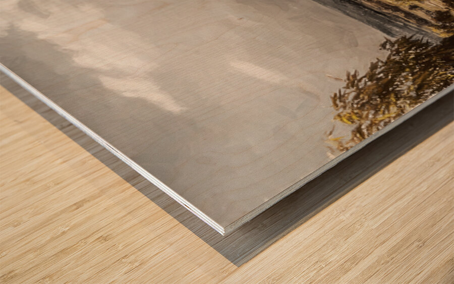 Overcast Rusticity Wood print