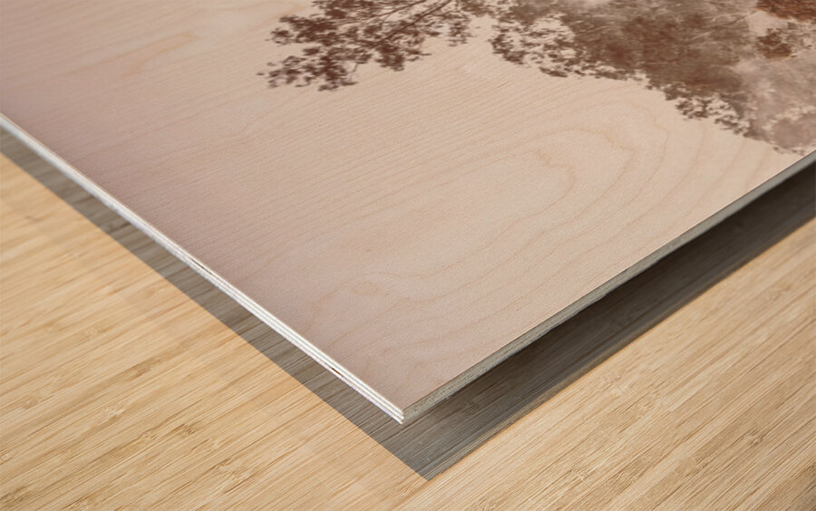 Misty Beauty Wood print
