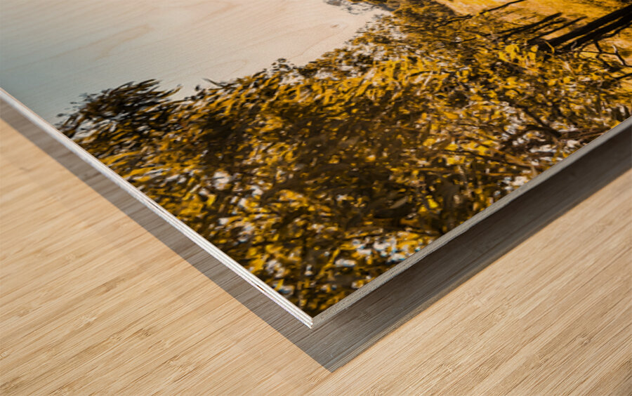 Summer Gold Wood print