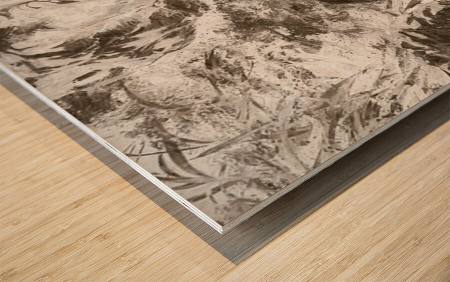 Natural Flow Wood print