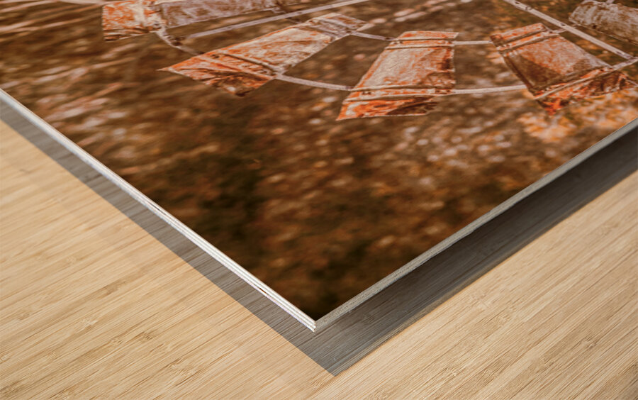 Shades Of Autumns Rust Wood print