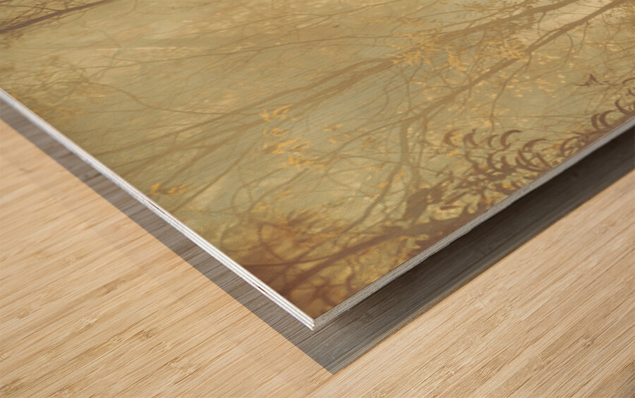 Mystified Wood print