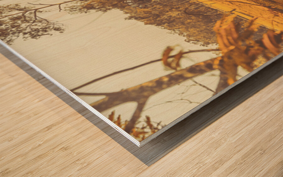 Country Golden Wood print