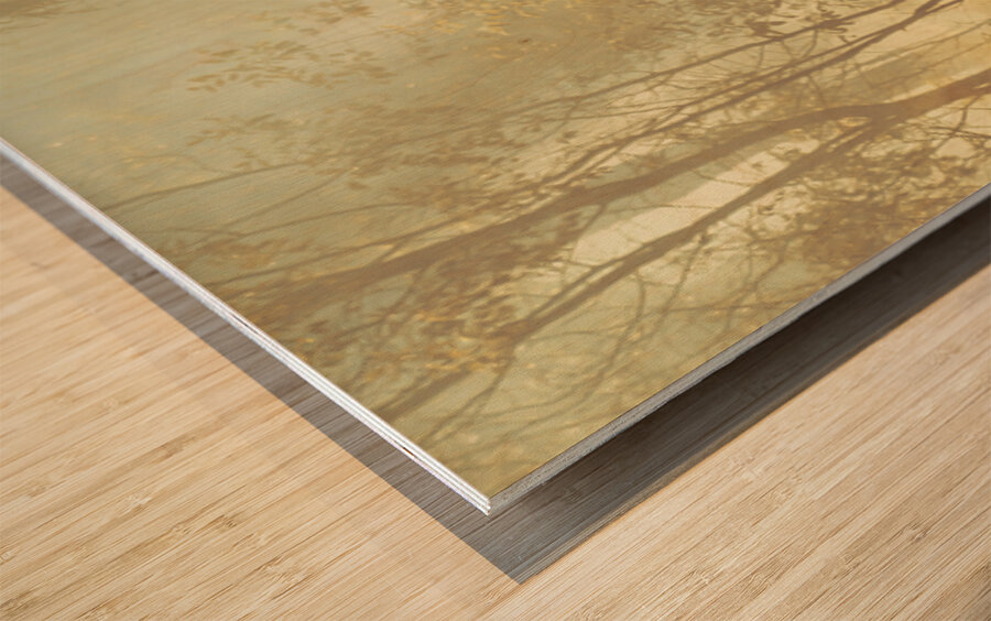 Wild Vagueness Wood print