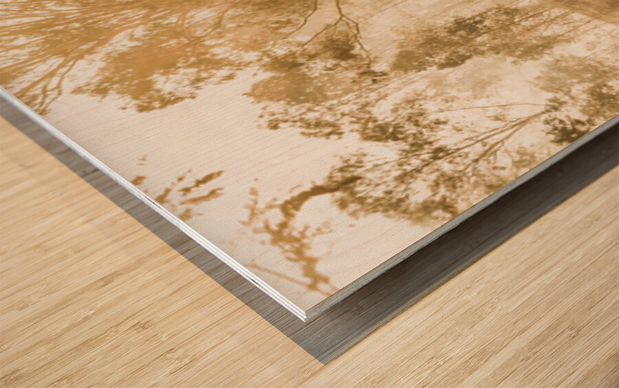 Branch Creek Magic Wood print