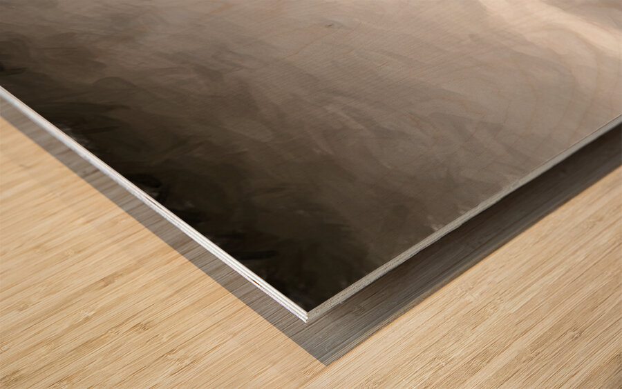 Hilltop Views Wood print