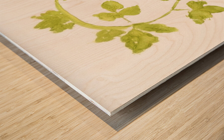 Vine Twist Wood print