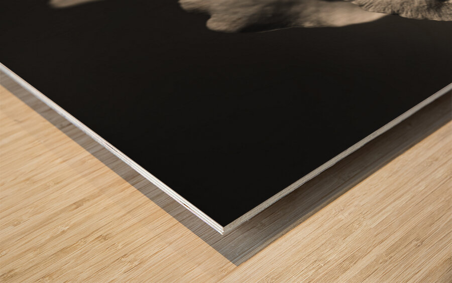 Beauty And Atmosphere Wood print