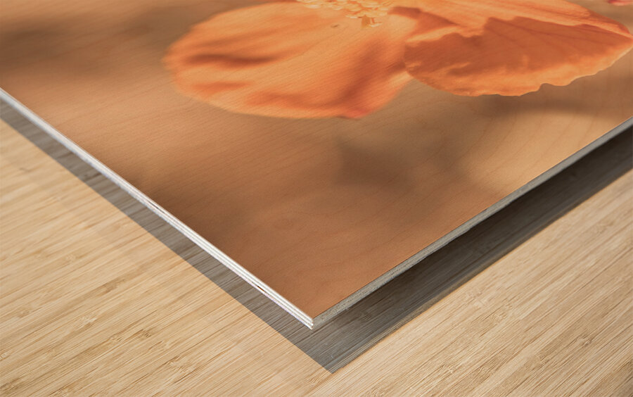 Wildflower Wonders Wood print