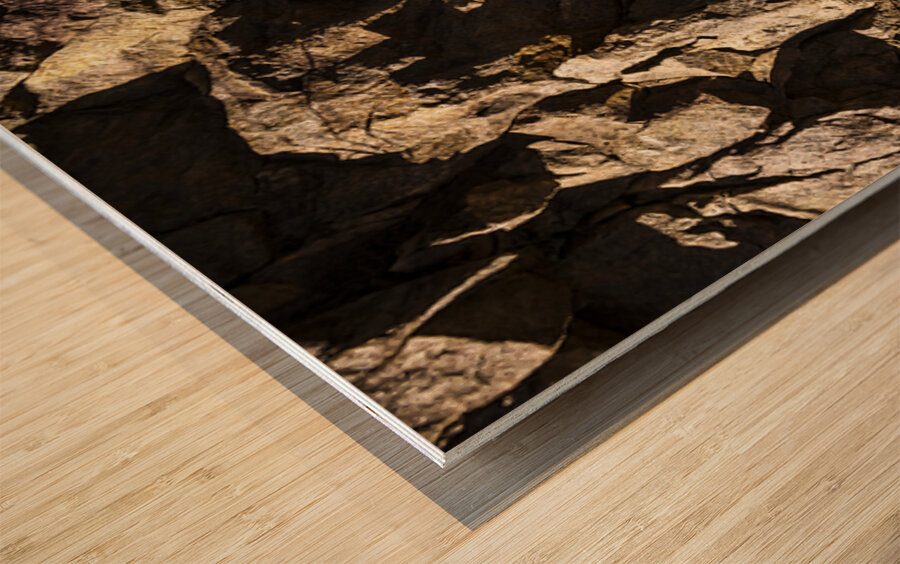 Depths And Details Wood print