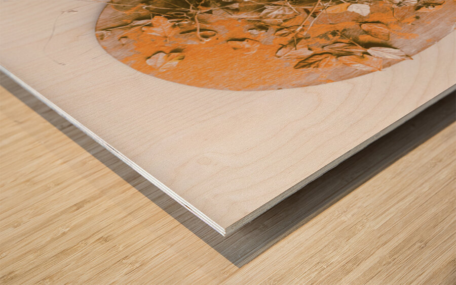 Autumns Palette Wood print