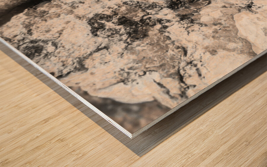 Mineralisation Wood print