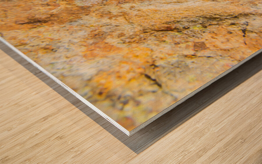 Flecks And Specks Wood print