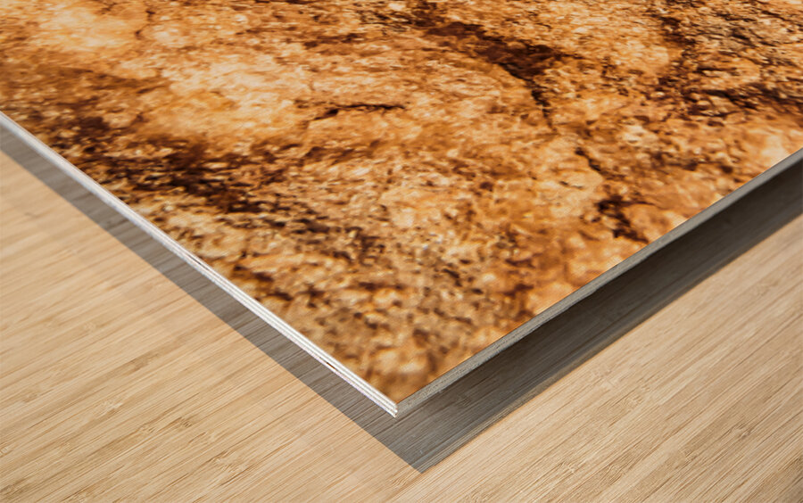 Rich And Vibrant Wood print