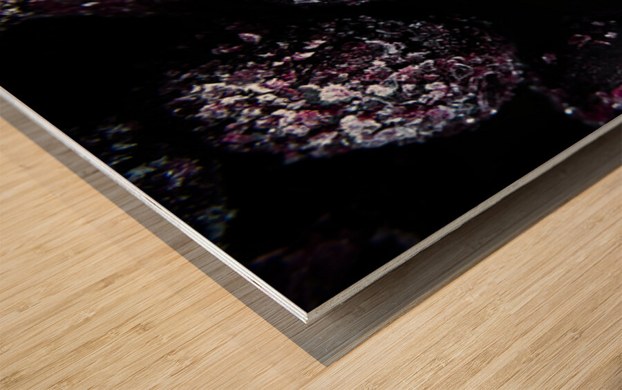 Frozen Blueberries Wood print