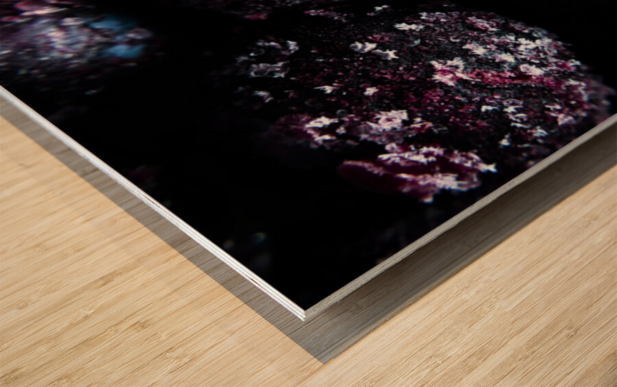 Deep Freeze Wood print