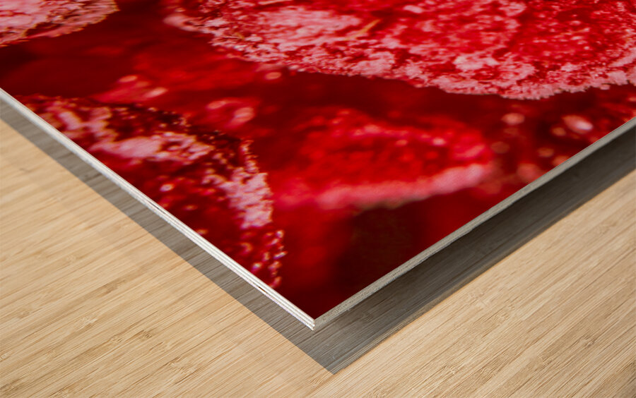 Raspberry Macro Photography Wood print