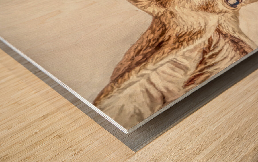 Country Lookout Wood print