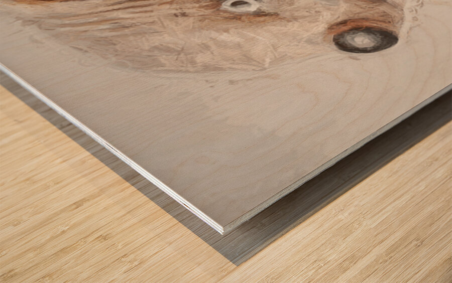 Wombat Quirk Wood print