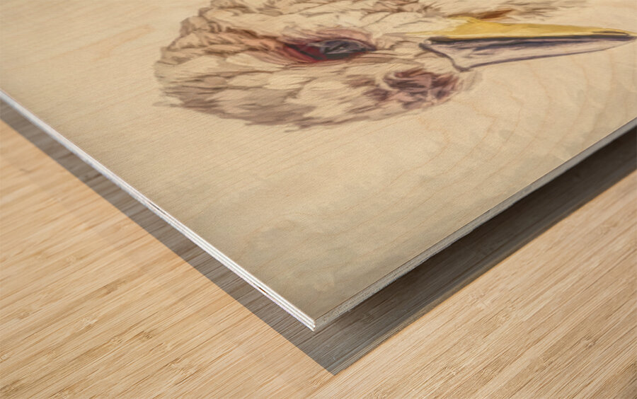 Kookaburra Perch Wood print