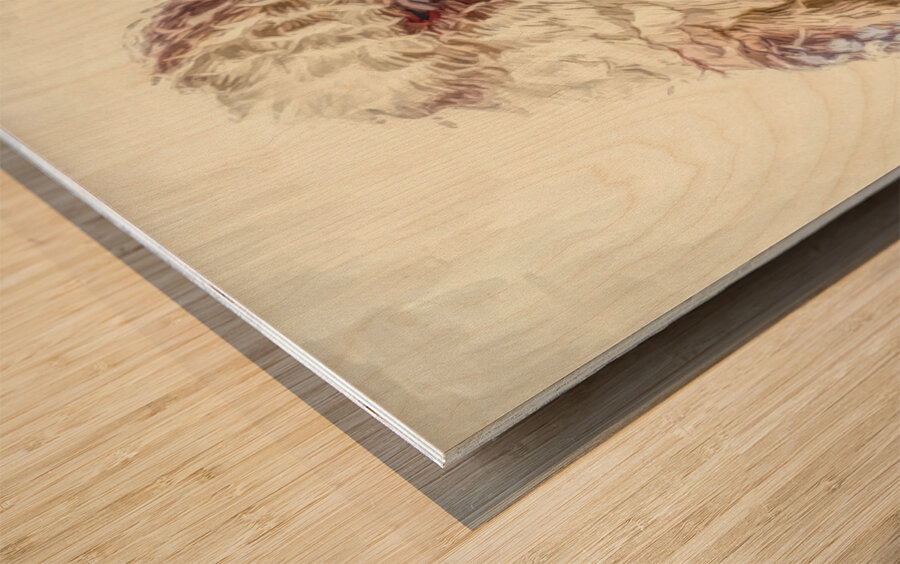 Outback Heights Wood print