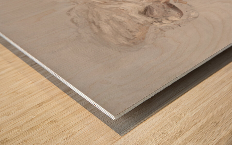 Playful Platypus Wood print