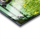 1 4 Acrylic print