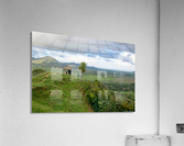 1 238 Acrylic Print