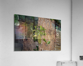 1 213 Acrylic Print