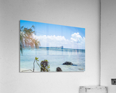 1 86 Acrylic Print