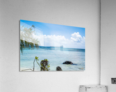 1 86 Acrylic Print