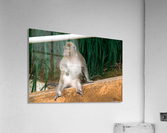 1 164 Acrylic Print