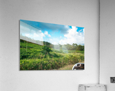 1 170 Acrylic Print