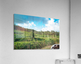 1 170 Acrylic Print