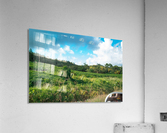 1 170 Acrylic Print