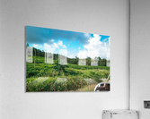 1 170 Acrylic Print