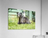 1 8 Acrylic Print