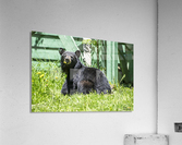 1 11 Acrylic Print