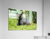 1 11 Acrylic Print