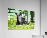 1 11 Acrylic Print