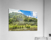 1 160 2 Acrylic Print