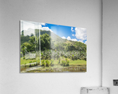 1 160 2 Acrylic Print
