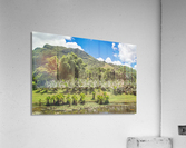 1 160 2 Acrylic Print
